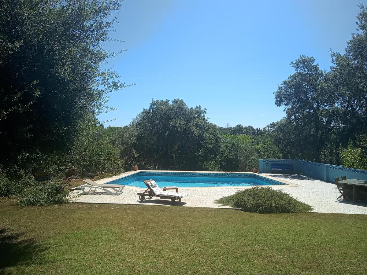 Sotogrande - Estancia En Plena Naturaleza - Abril ภายนอก รูปภาพ