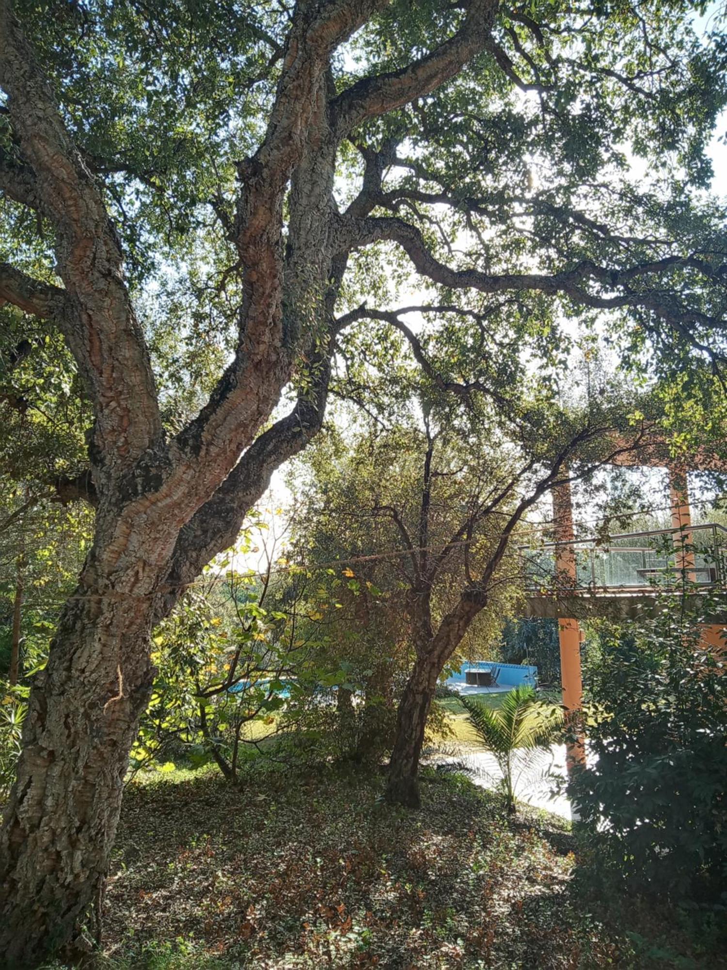 Sotogrande - Estancia En Plena Naturaleza - Abril ภายนอก รูปภาพ