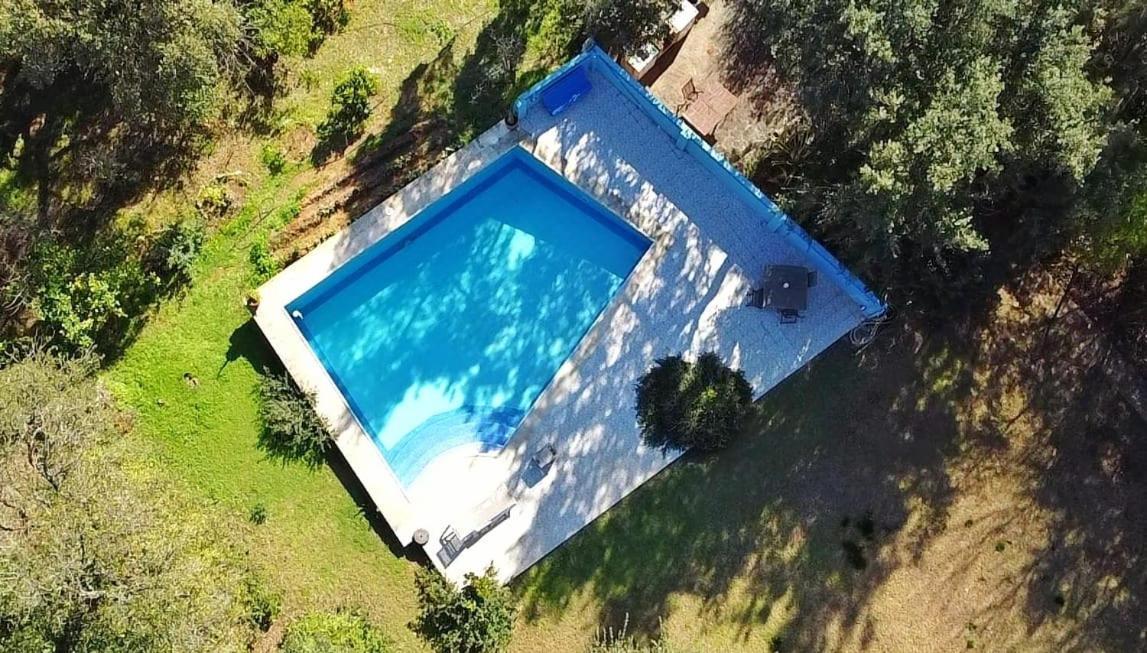 Sotogrande - Estancia En Plena Naturaleza - Abril ภายนอก รูปภาพ