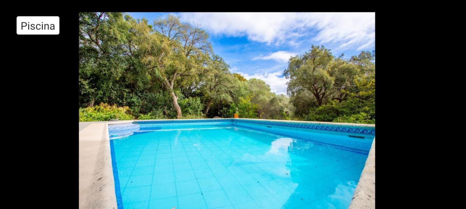 Sotogrande - Estancia En Plena Naturaleza - Abril ภายนอก รูปภาพ