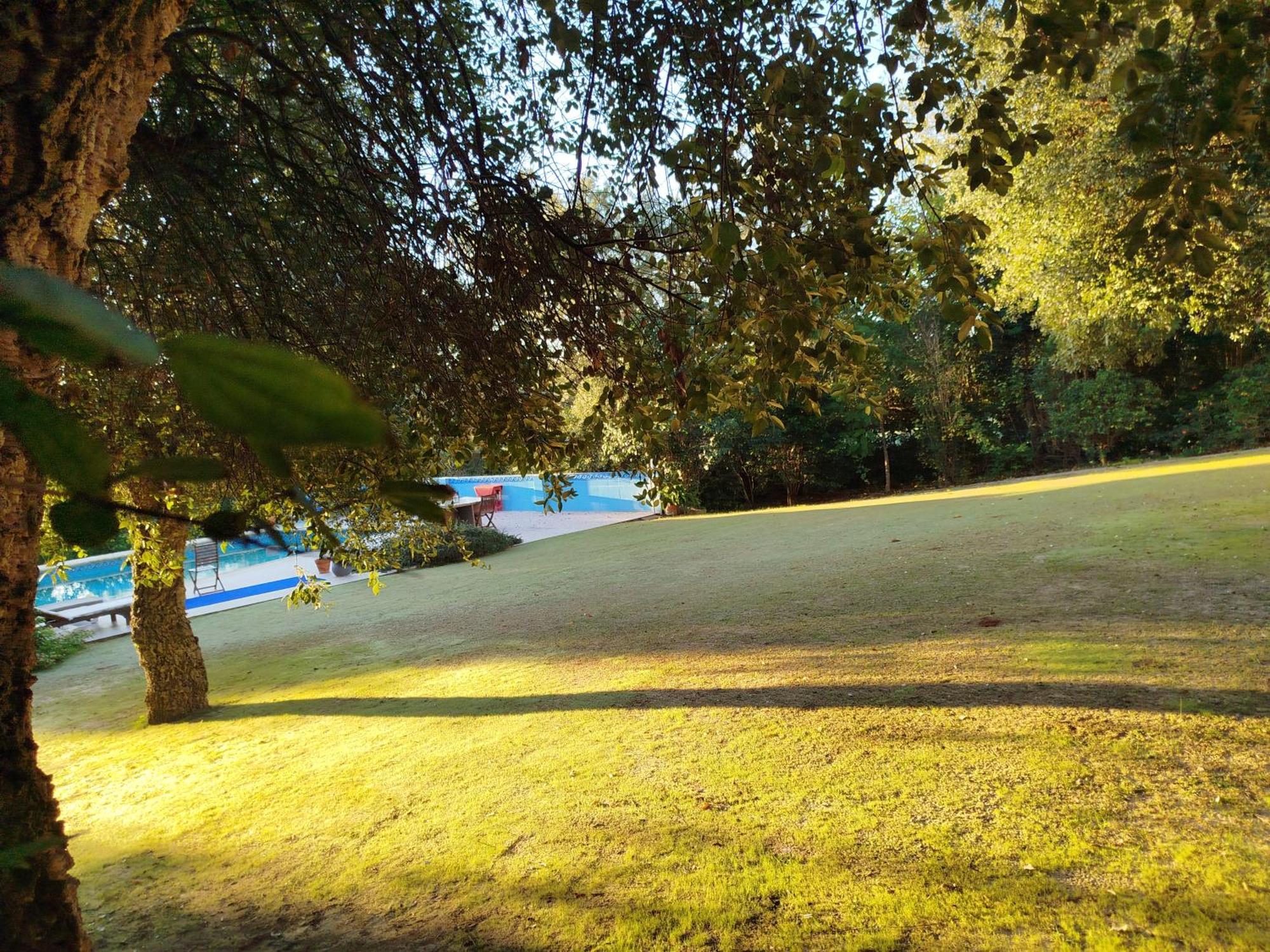 Sotogrande - Estancia En Plena Naturaleza - Abril ภายนอก รูปภาพ