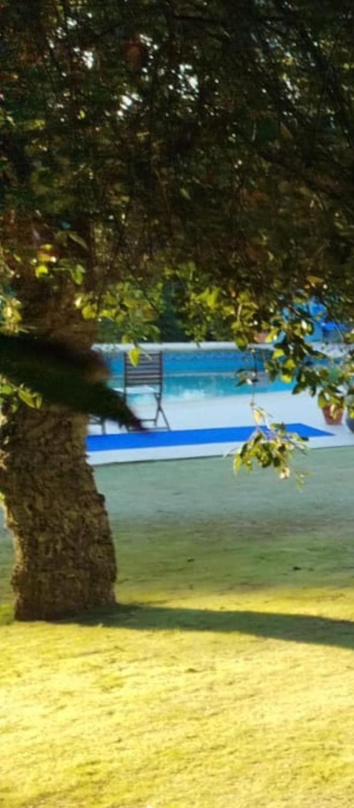 Sotogrande - Estancia En Plena Naturaleza - Abril ภายนอก รูปภาพ
