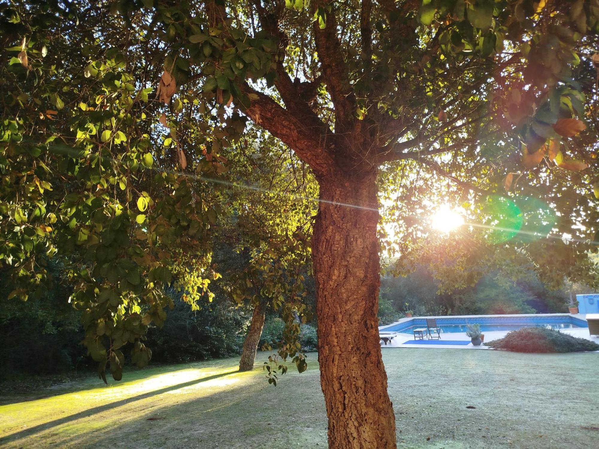 Sotogrande - Estancia En Plena Naturaleza - Abril ภายนอก รูปภาพ